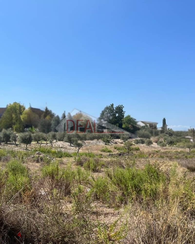 land for sale in Aabra عقار للبيع في عبرا 1