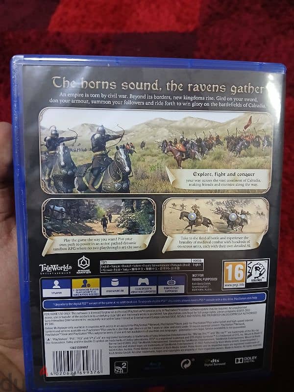 mount and blade bannerlord 1