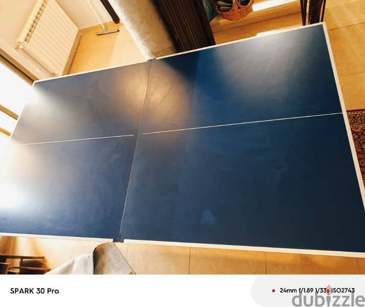 pingpong table 1