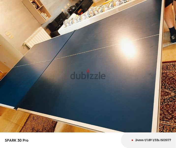 pingpong table 3