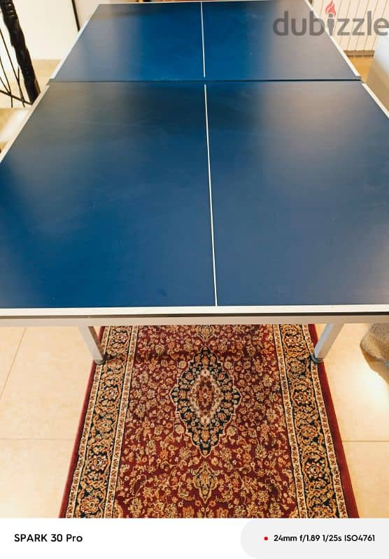 pingpong table 7