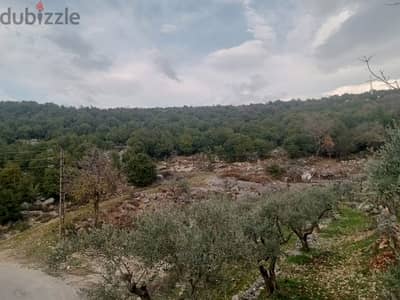 Land for sale in Assia-Batroun أرض للبيع في آسيا-البترون