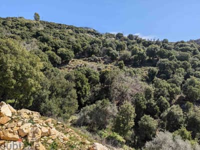 Land For Sale In Gharzouz | Unblockable View | أرض للبيع | PLS 26278