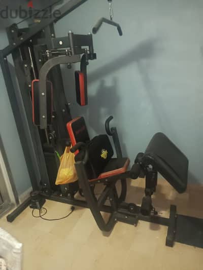 body building gym