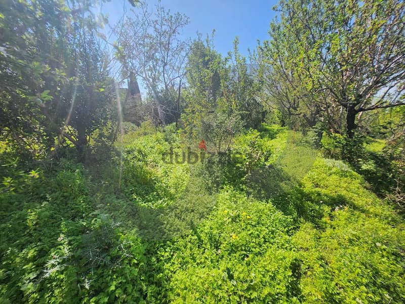 Prime Residential Land in Fatqa – Unobstructed Sea View REF#YE119235 2