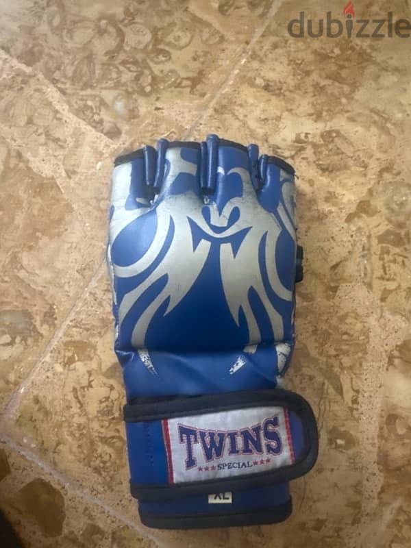 boxing gloves (mma) 2