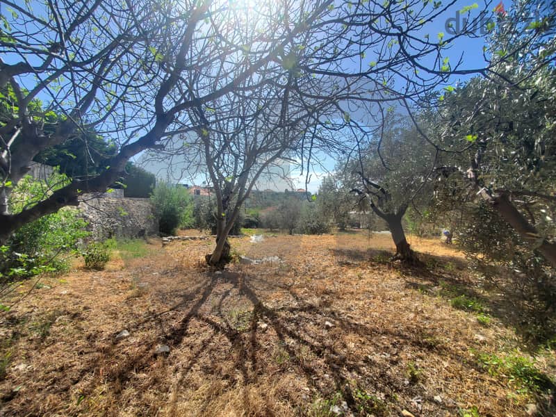 Hot deal-Batroun - Smar Jbeil/بترون - سمار جبيل REF#YD119263 1