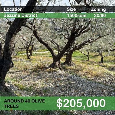 1500 Sqm | Land in Jezzine District