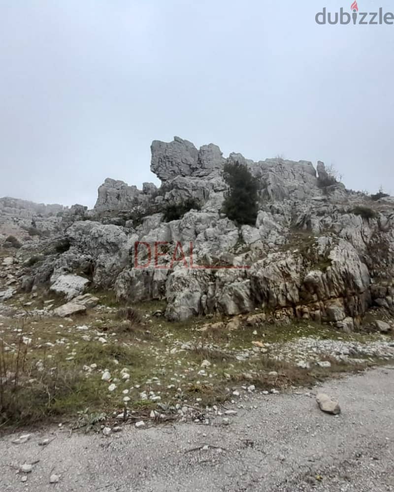 Land for sale in Raashine عقار للبيع في رعشين 1