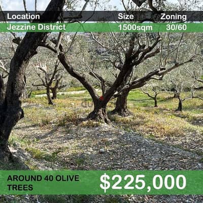 1500 Sqm | Land in Jezzine District