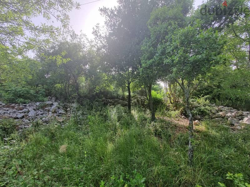 Batroun - 400 sqm Lot with 100sqm permit In Toula 15 min from Batroun 2