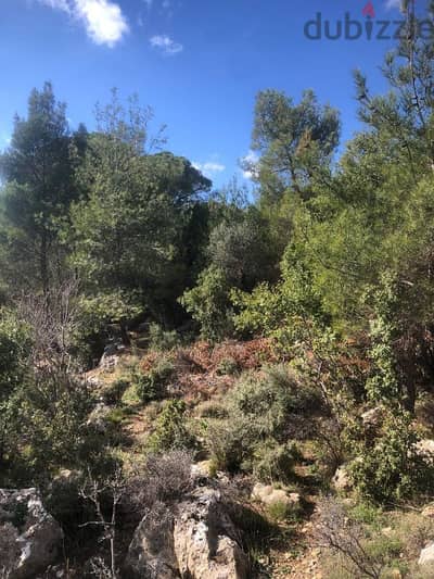 land for sale ouyoun broumana