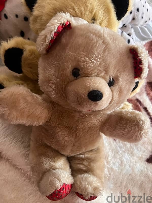 teddy bear 5