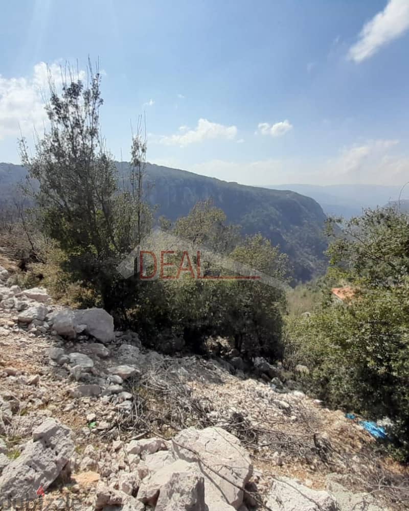 Land for sale in Faitroun عقار للبيع في فيطرون 1