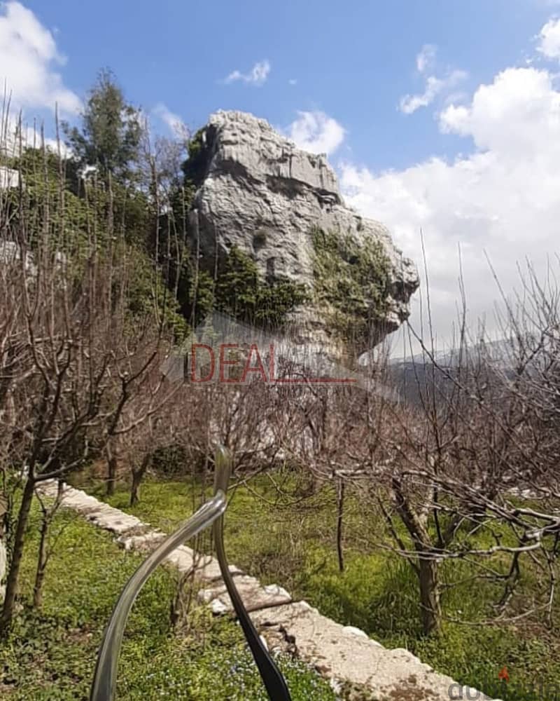 Land for sale in Faitroun عقار للبيع في فيطرون 1