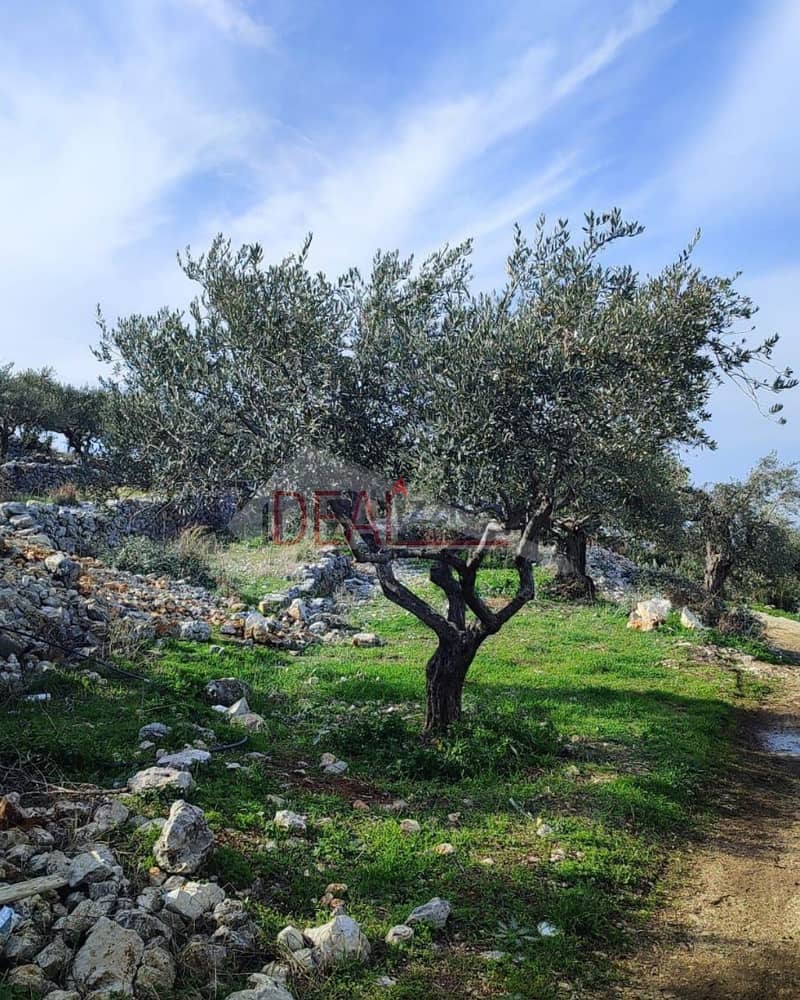 land for sale in Batroun Chabtine عقار للبيع في شبطين بترون 1