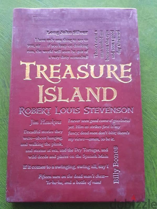 THE TREASURE ISLAND 0