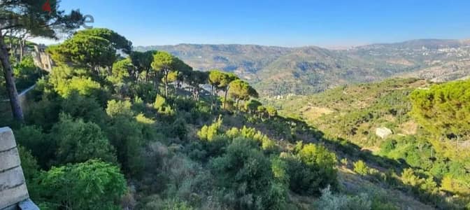 8,988 SQM Land+MountainView for sale in Bhamdoun -ارض للبيع في بحمدون