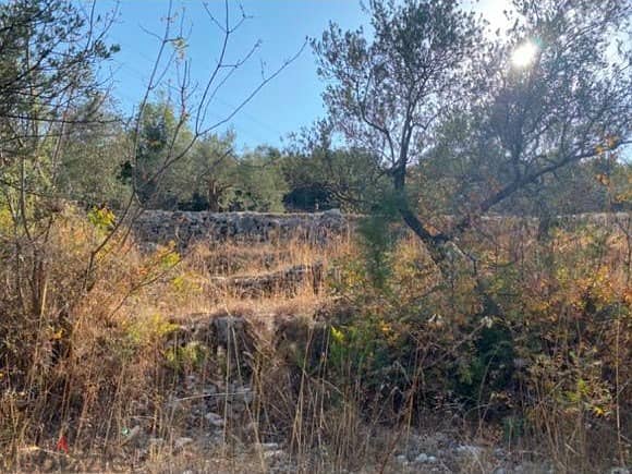 Land for sale in Aalali Batroun أرض للبيع في علالي البترون 2