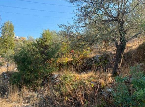 Land for sale in Aalali Batroun أرض للبيع في علالي البترون 3