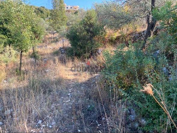 Land for sale in Aalali Batroun أرض للبيع في علالي البترون 4