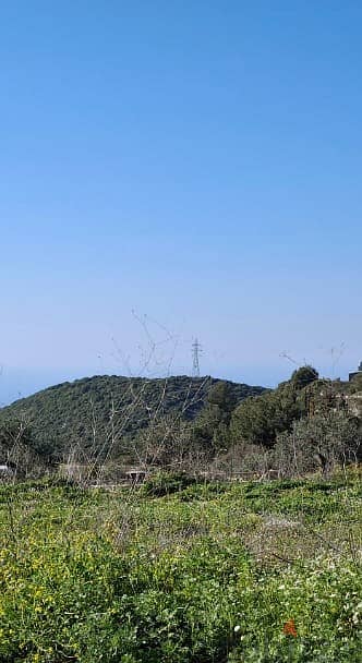 Land for sale in Mrah Chdid-Batroun أرض للبيع في مراح شديد - البترون 0