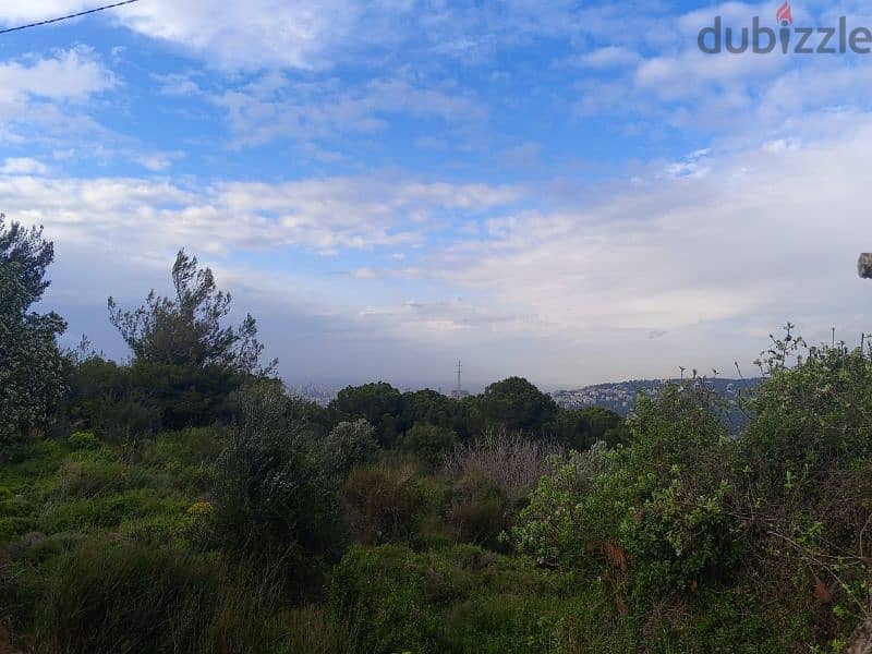 land for sale in ain anoub 0