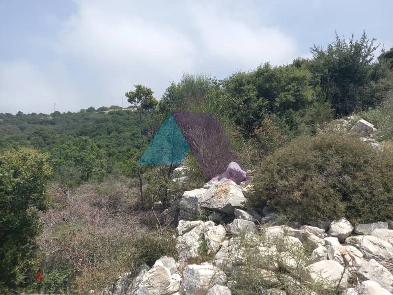 14,334 SQM Land+Sea view for sale in Berkhaaz-Jbeil |  برخاز - جبيل 1