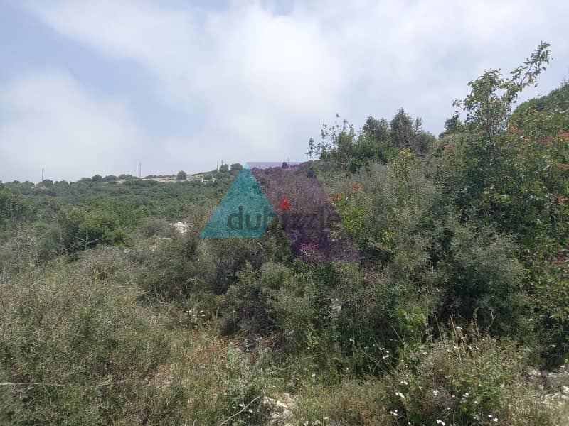 14,334 SQM Land+Sea view for sale in Berkhaaz-Jbeil |  برخاز - جبيل 2