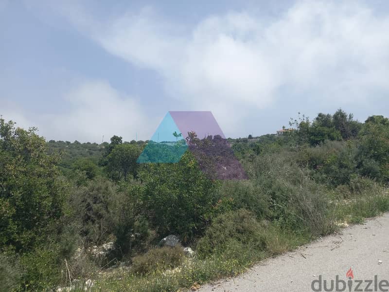 14,334 SQM Land+Sea view for sale in Berkhaaz-Jbeil |  برخاز - جبيل 3