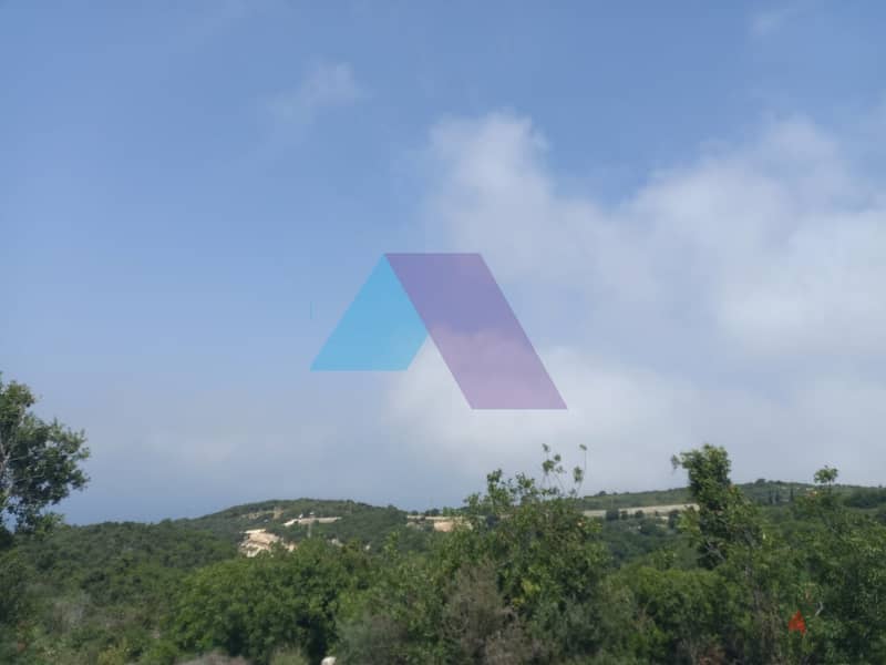 14,334 SQM Land+Sea view for sale in Berkhaaz-Jbeil |  برخاز - جبيل 4