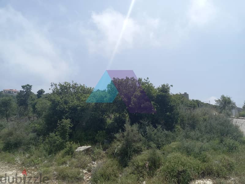 14,334 SQM Land+Sea view for sale in Berkhaaz-Jbeil |  برخاز - جبيل 5