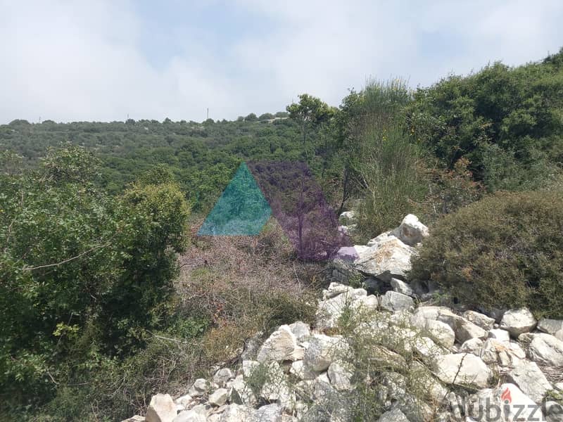 14,334 SQM Land+Sea view for sale in Berkhaaz-Jbeil |  برخاز - جبيل 6