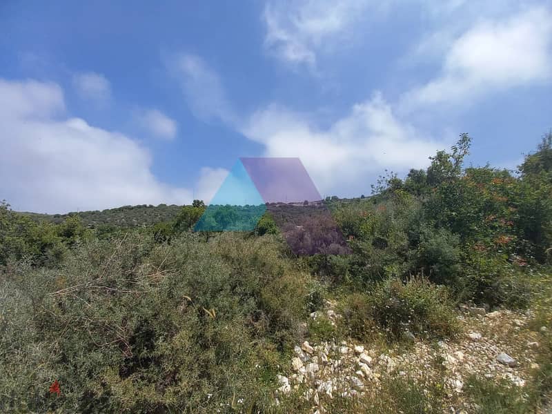 14,334 SQM Land+Sea view for sale in Berkhaaz-Jbeil |  برخاز - جبيل 7