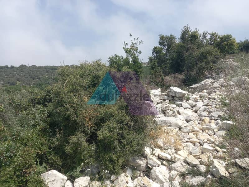 14,334 SQM Land+Sea view for sale in Berkhaaz-Jbeil |  برخاز - جبيل 8