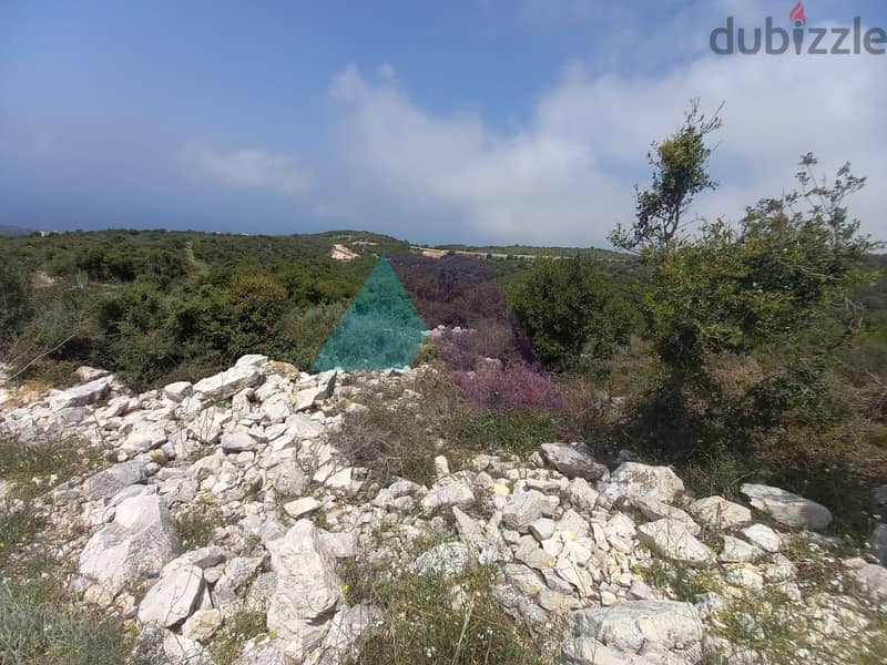 14,334 SQM Land+Sea view for sale in Berkhaaz-Jbeil |  برخاز - جبيل 9