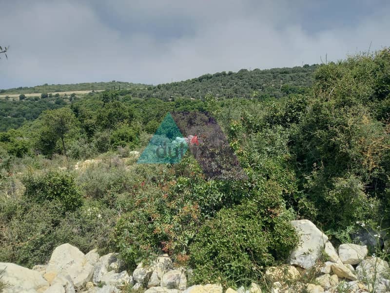 14,334 SQM Land+Sea view for sale in Berkhaaz-Jbeil |  برخاز - جبيل 10