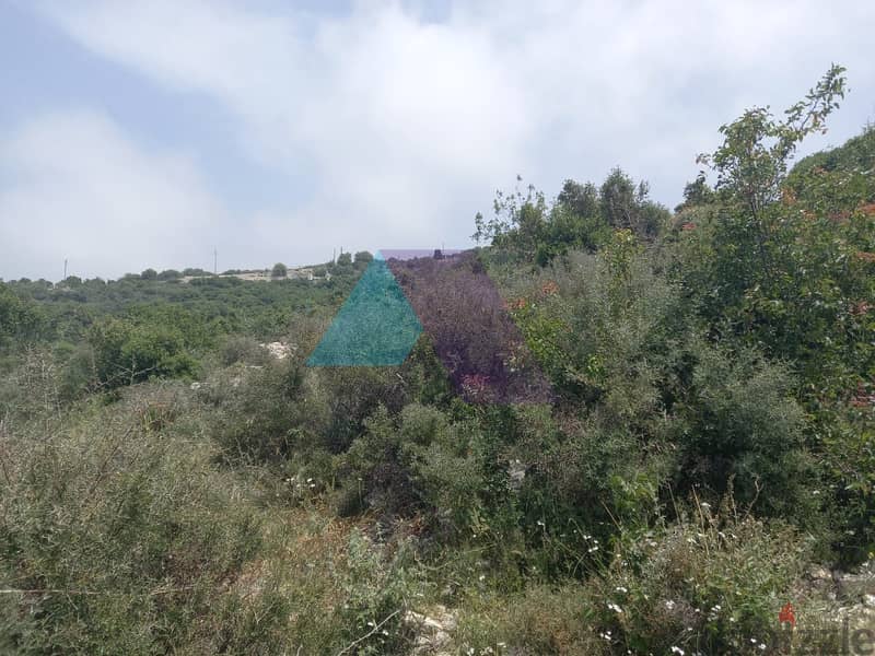 15,072 SQM Land+Sea view for sale in Berkhaaz -Jbeil | برخاز - جبيل 1