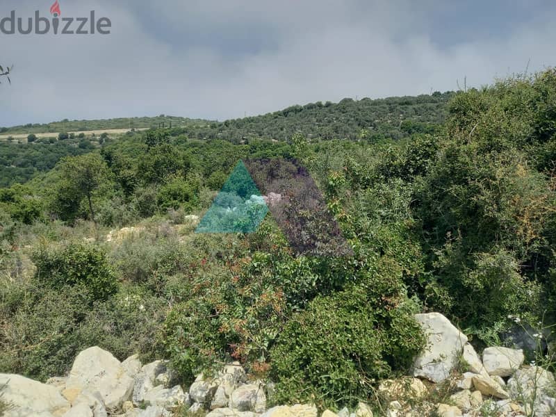 15,072 SQM Land+Sea view for sale in Berkhaaz -Jbeil | برخاز - جبيل 3