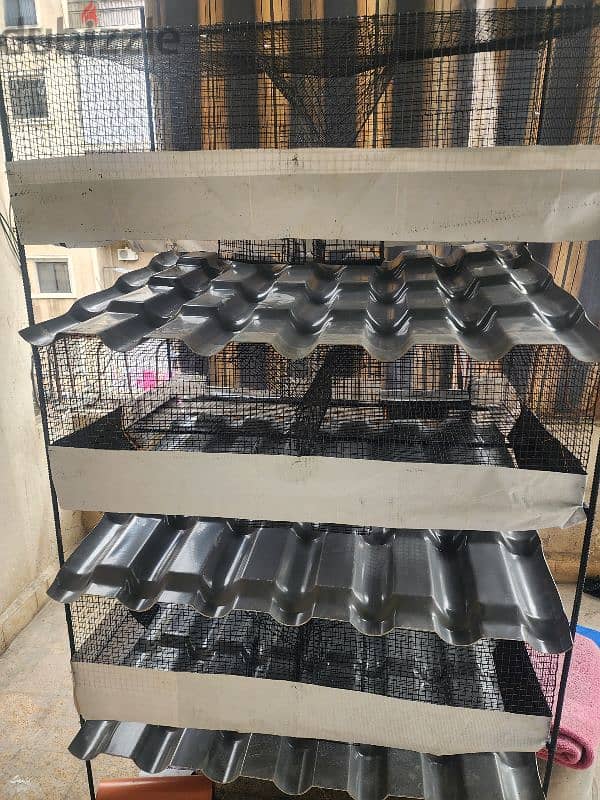 rabbit cages بطاريات ارانب 4