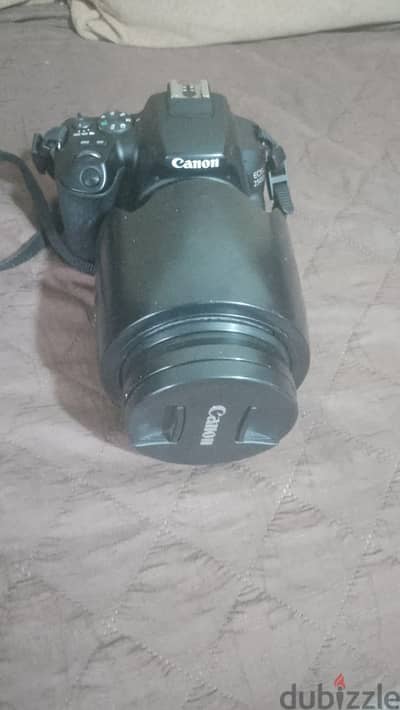 canon 250d plus 24-70 f2.8