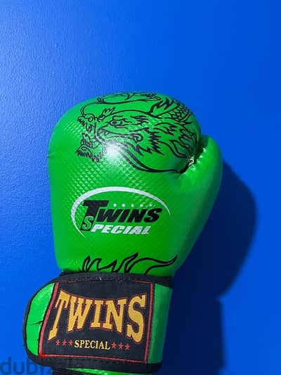 Muay Thai/boxing gloves