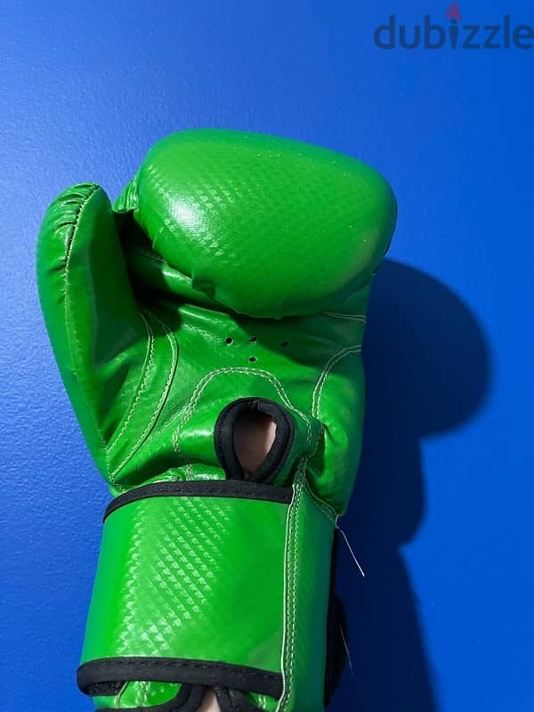 Muay Thai/boxing gloves 2