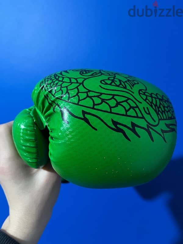 Muay Thai/boxing gloves 3