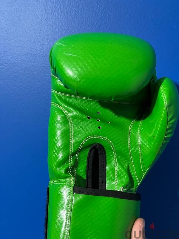 Muay Thai/boxing gloves 6