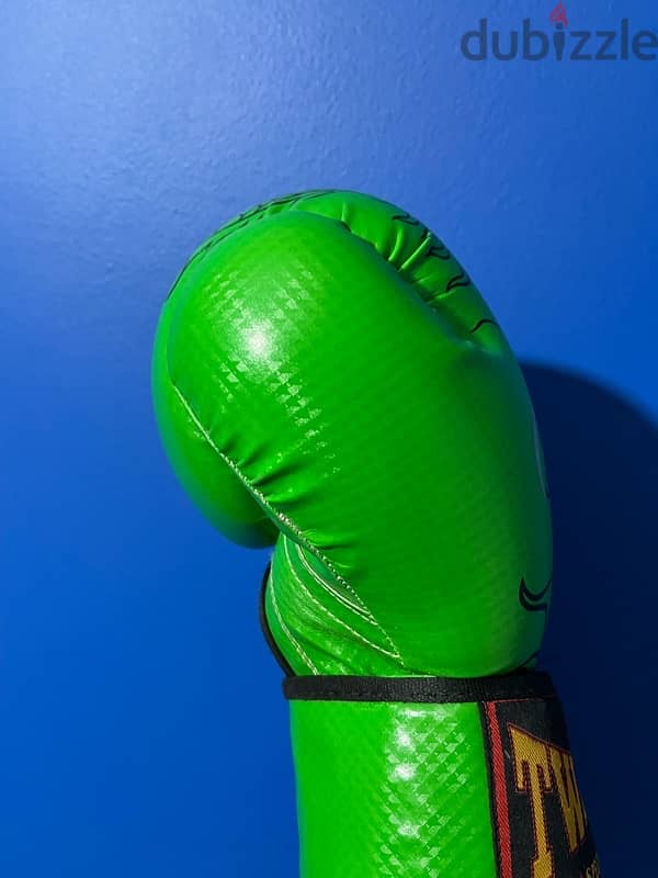 Muay Thai/boxing gloves 7