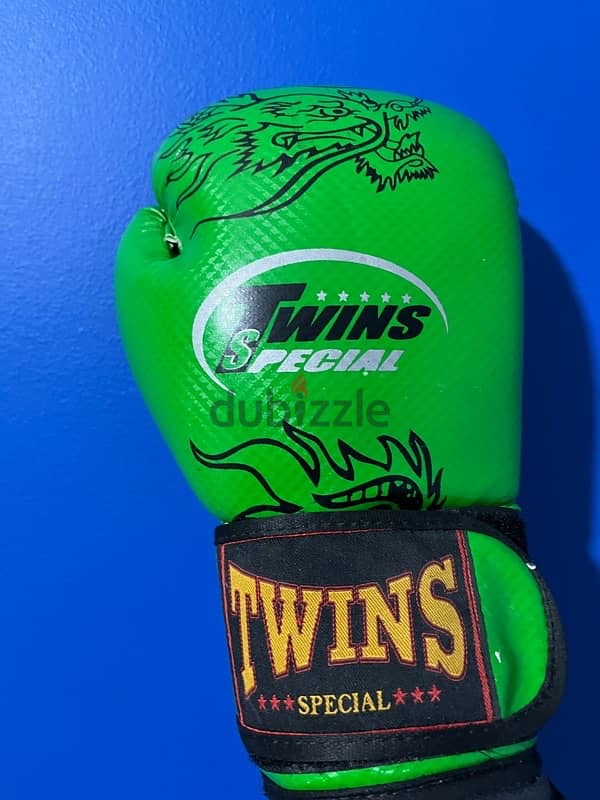 Muay Thai/boxing gloves 8