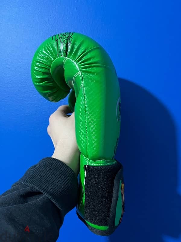 Muay Thai/boxing gloves 9