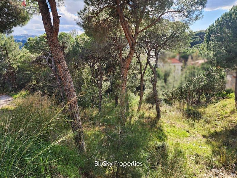 Land For SALE In Baabdat أرض للبيع #GS 1