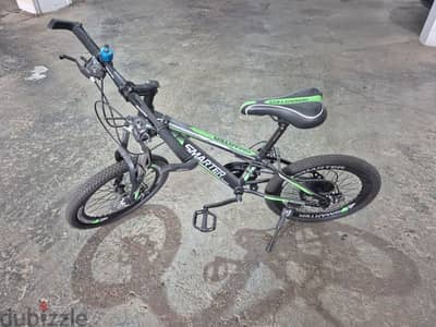 Bicycle for kids